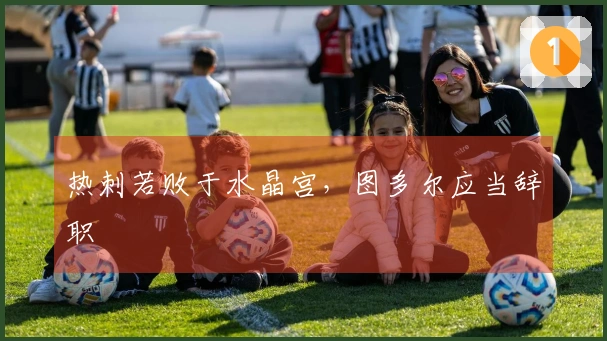 热刺若败于水晶宫，图多尔应当辞职