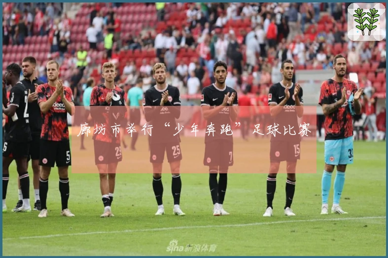 廊坊市举行“少年奔跑”足球比赛